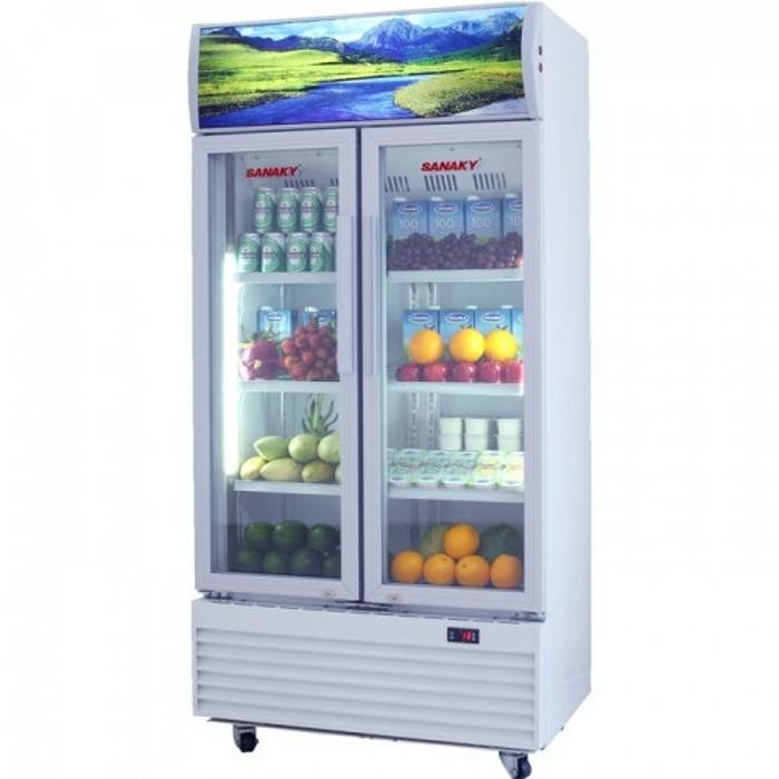 Tủ mát Sanaky 600 lít VH-6009HP giá tốt