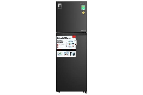 Tủ lạnh Toshiba Inverter 207 lít GR-RT268WE-PMV(68)