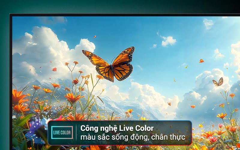 google tivi sony 4k 43 inch k 43s25vm2 hinh3