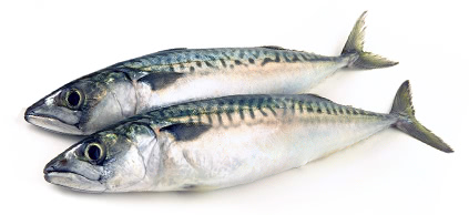 sbs features3 01 02 pc 1