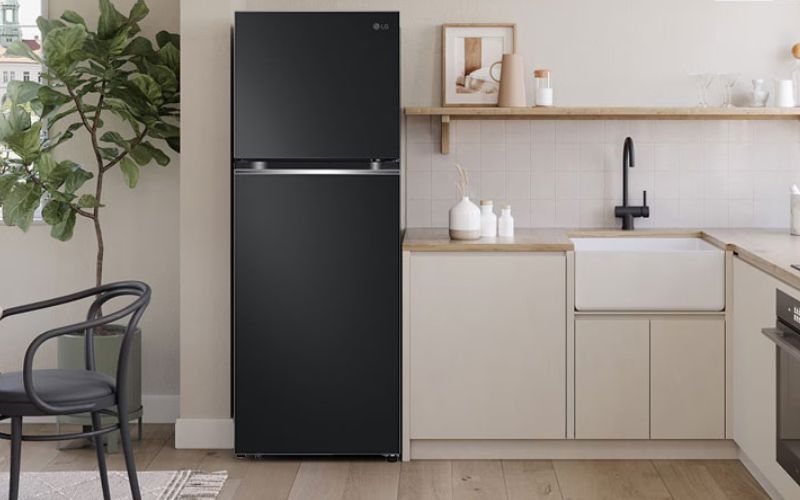 tu lanh lg inverter 217 lit ltb21blmi hinh1 1