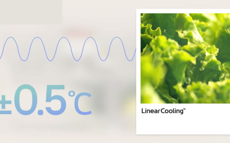 tu lanh lg inverter 217 lit ltb21blmi hinh4 1