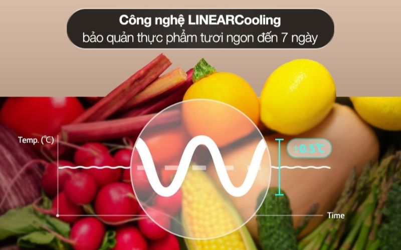 tu lanh lg inverter 266 lit ltb26svm hinh3 1