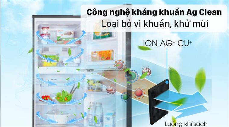 Tu-lanh-Panasonic-2-canh-Inverter-268-Lit-NR-TV301BPKV555
