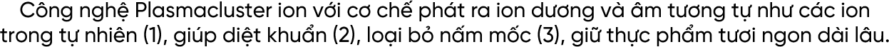 section 2