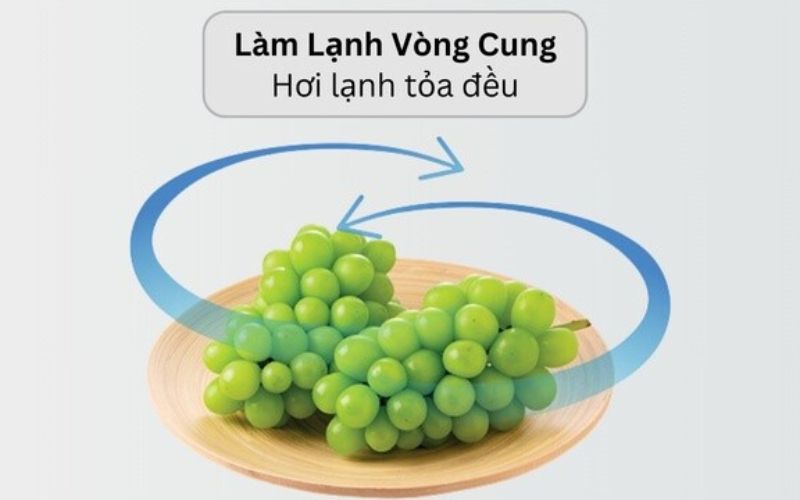 Hệ thống làm lạnh vòng cung giúp thực phẩm được bảo quản tươi ngon