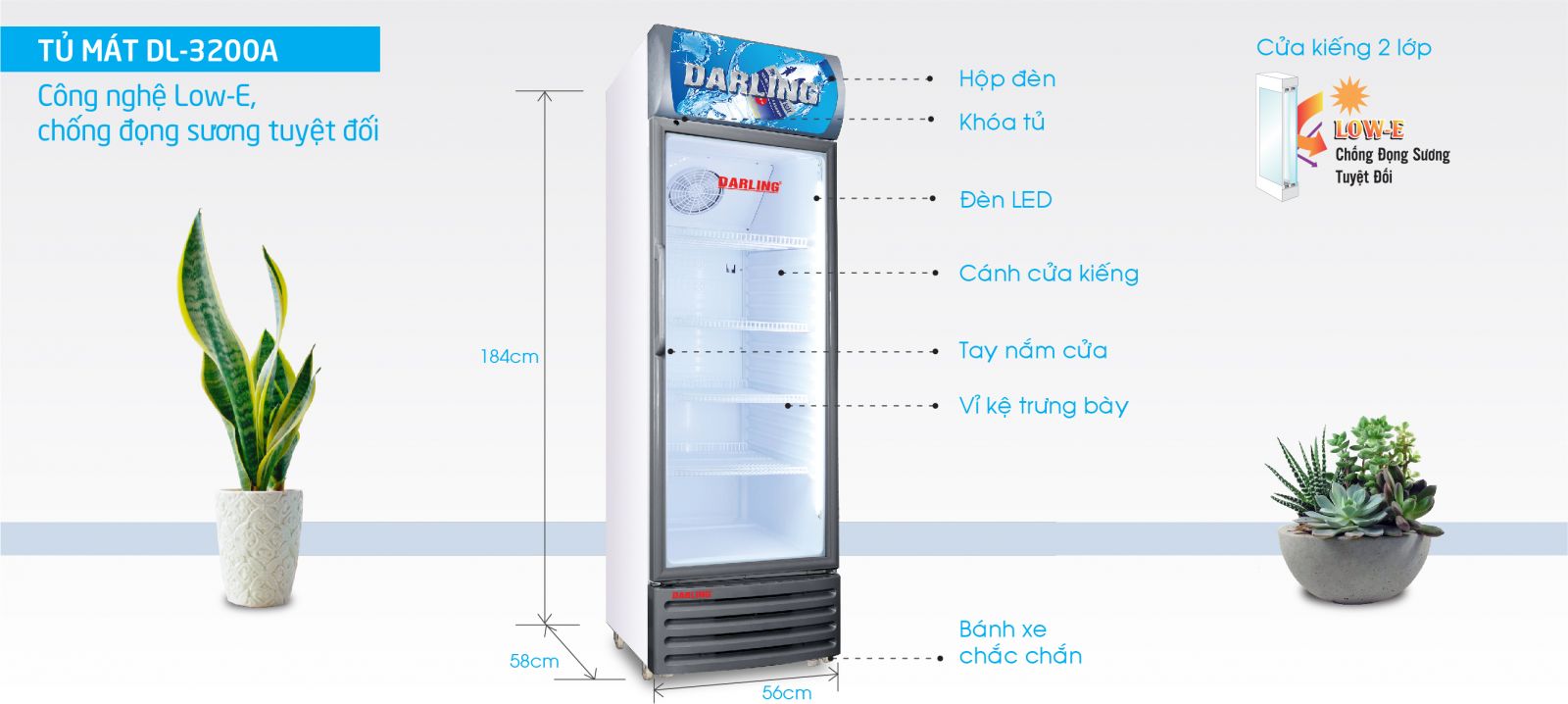 TU MAT DL--3200A vien xam