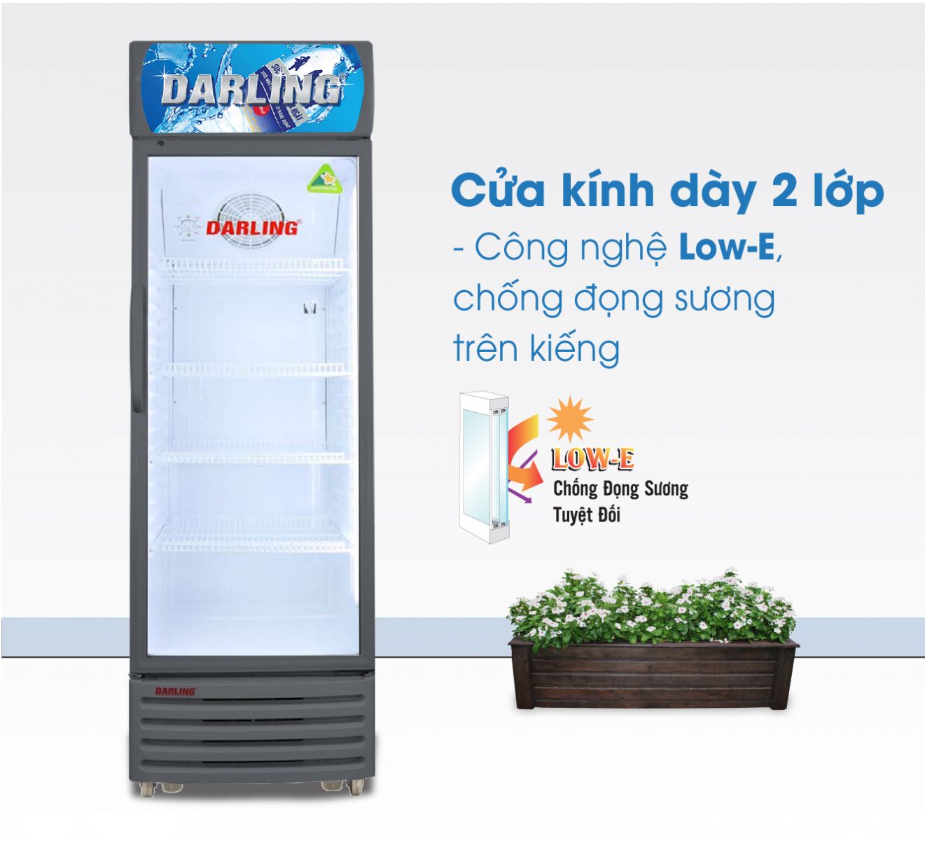 TU MAT DL--3200A vien xam