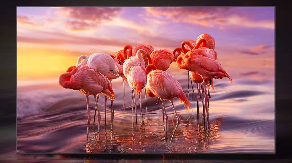 Độ phân giải 4K và bộ xử lý Quantum 4K Lite cho hình ảnh chuẩn xác, sắc nét hơn