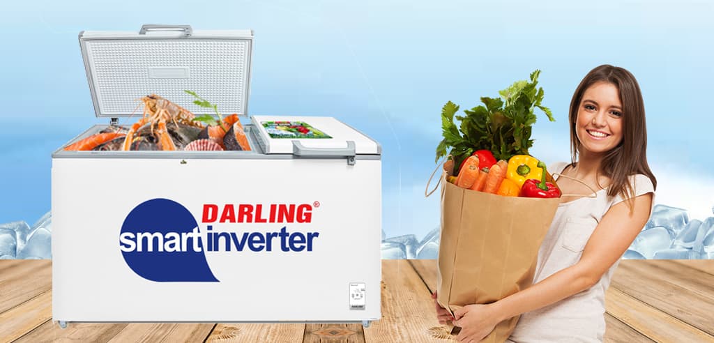 Tủ đông Darling 2 ngăn Inverter 770 lít DMF-7699 WSI4