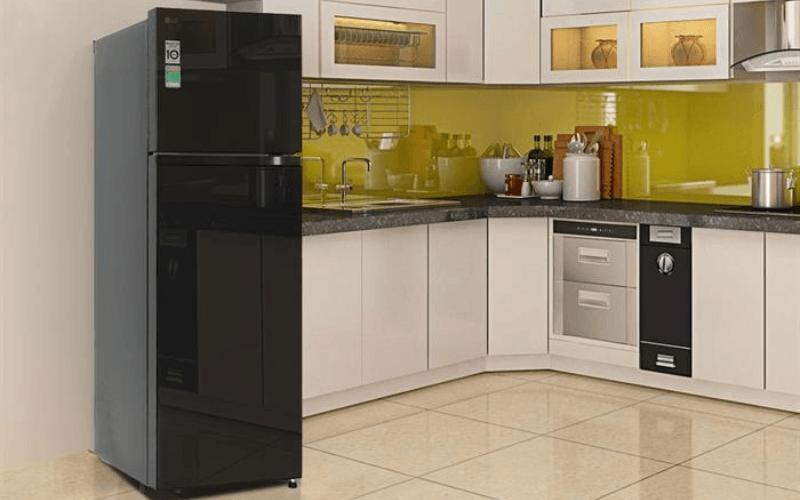 tu lanh lg inverter 217 lit t21bg hinh 1