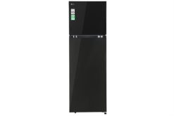 Tủ lạnh LG Inverter 217 lít T21BG