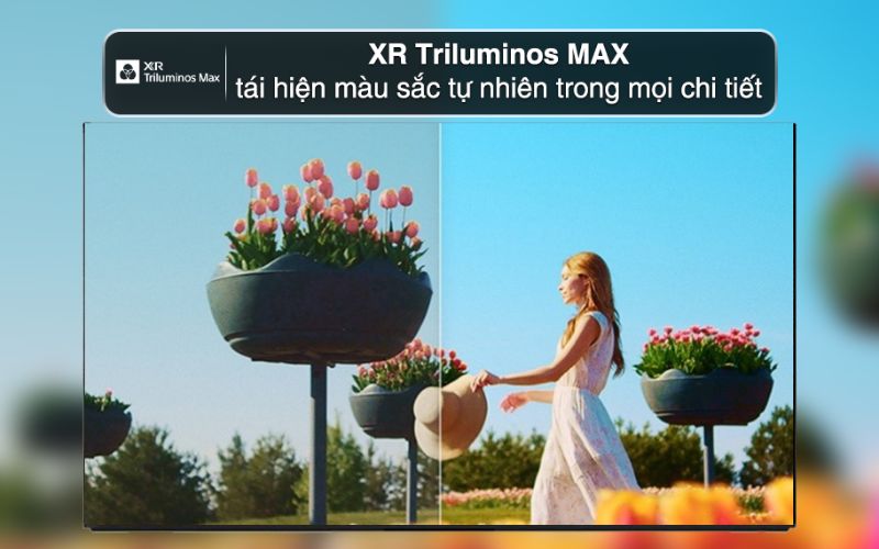 google tivi oled sony ai 4k 55 inch k 55xr80ms2 hinh3