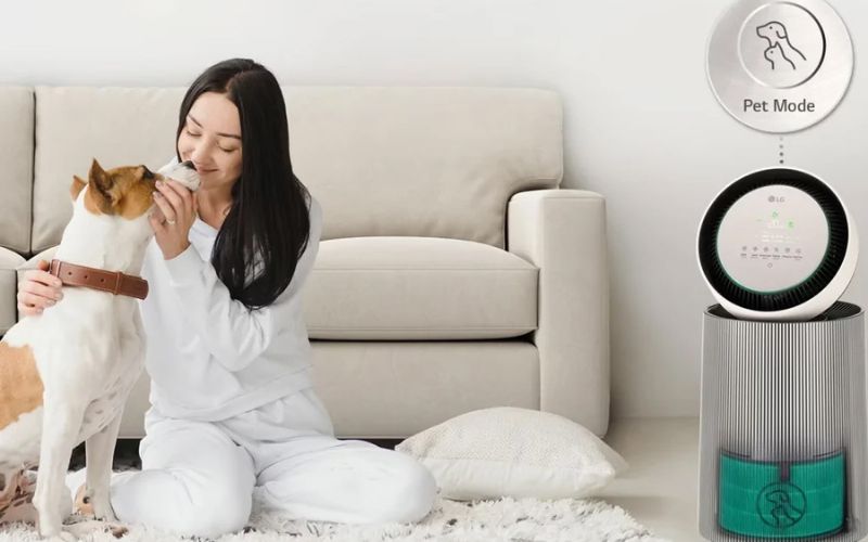 Chế độ PET CARE xử lý 55% mùi hôi, lông thú cưng