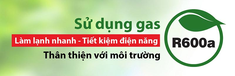 Tủ đông Sanaky 400 Lít 1 ngăn 2 cánh VH-4099A2KD