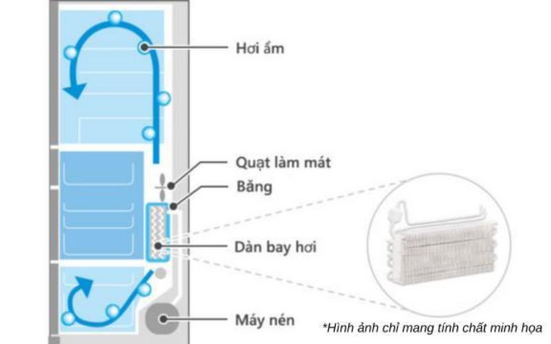 Tính năng Frost Recycling làm lạnh tái tạo băng, giảm tiêu thụ điện năng