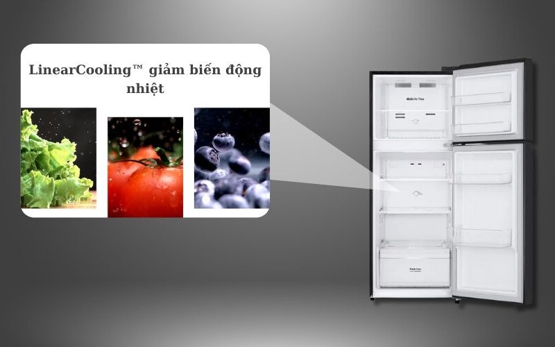 tu lanh lg 217l ltb21blmd hinh2