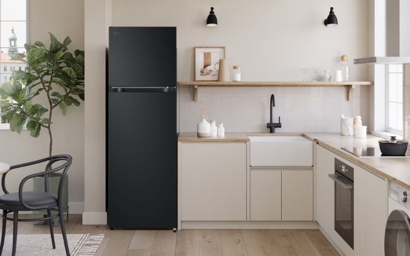 tu lanh lg inverter 266 lit ltb26blm hinh1 1