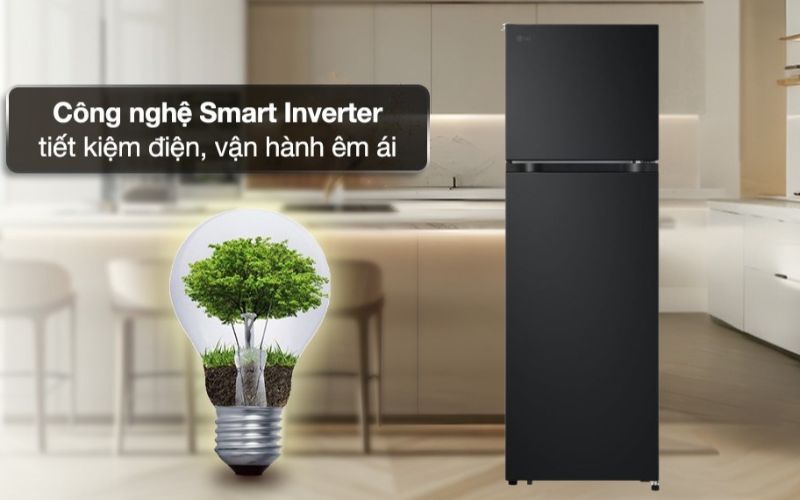 tu lanh lg inverter 266 lit ltb26blm hinh5 1