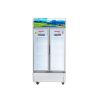 Tủ Mát Sanaky VH-1009HP3-900 lít Inverter