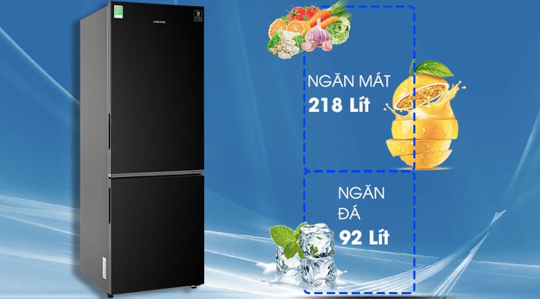 12780 samsung rb30n4010bu svdungtich