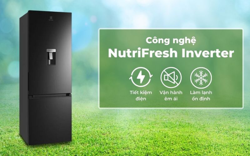 Công nghệ NutriFresh Inverter kiểm soát ổn định nhiệt độ, tiết kiệm điện
