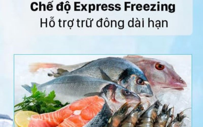 Ngăn Express Freeze cấp đông thực phẩm nhanh chóng, bảo toàn dinh dưỡng Ngăn Express Freeze cấp đông thực phẩm nhanh chóng, bảo toàn dinh dưỡng
