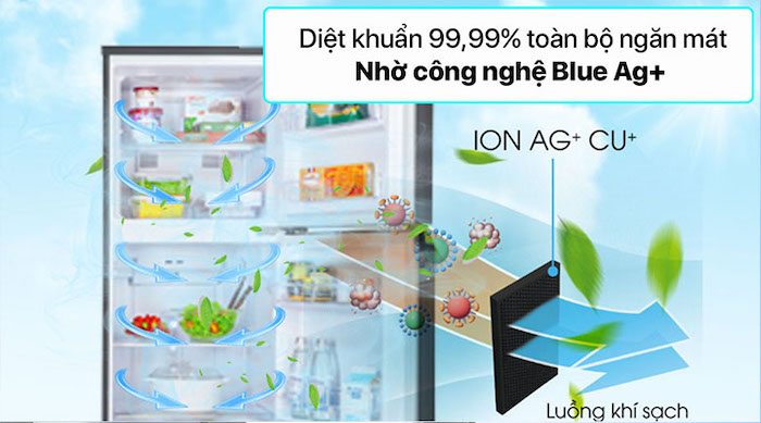 Tủ lạnh Panasonic 2 cánh Inverter 268 Lít NR-TV301VGMV