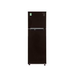 Tủ lạnh Samsung 243 lít 2 cửa Inverter RT22M4032BU/SV