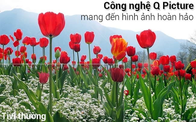 0412 qa75q9fn 1 3