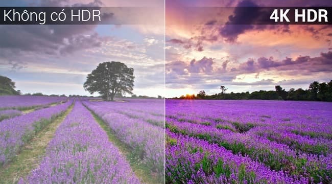 0711 43x7500f review 2