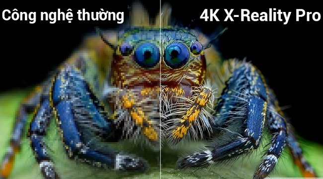 1012 kd 55x7000f 1 3