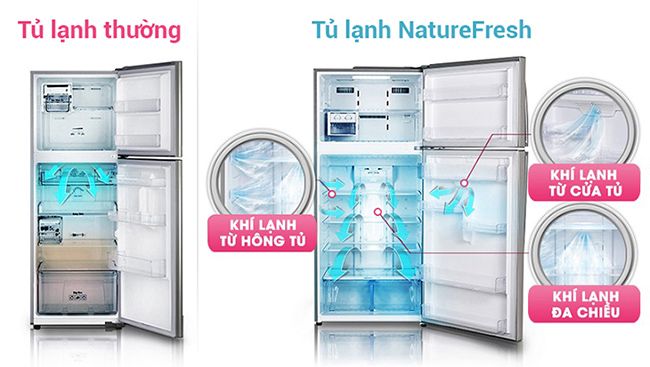 Tủ lạnh LG là thương hiệu nước nào? Sử dụng có tốt không? - công nghệ làm lạnh tiên tiến