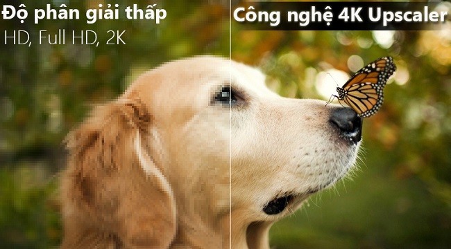1312 55uk7500pta 2 4