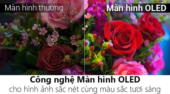 1412 55b6t 1 3