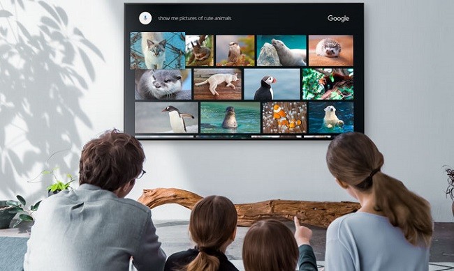 tivi sony kd-49x7500f