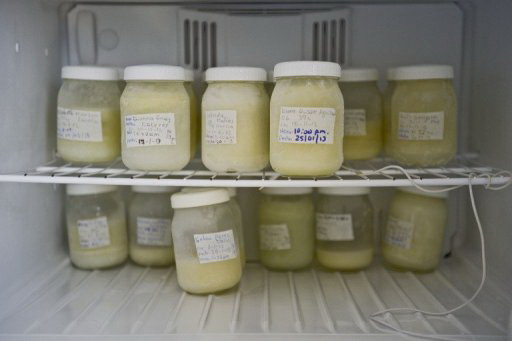 Bảo quản sữa trong tủ lạnh sẽ giúp bạn thảnh thơi hơn trong việc nuôi con