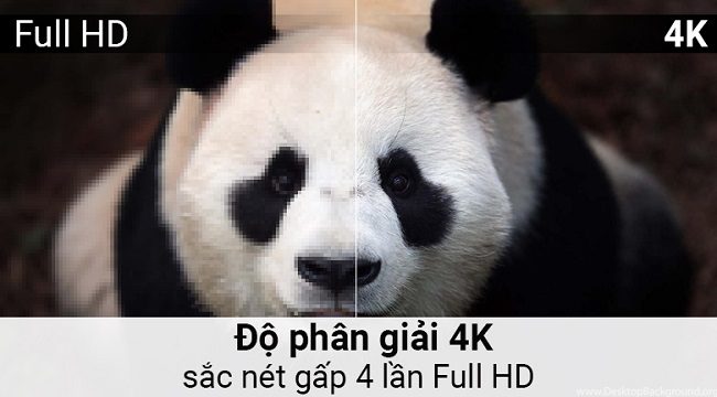 2311 55q7f 2 2