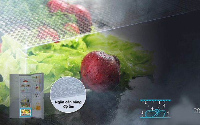Khám phá công nghệ tủ lạnh Side By Side LG GR-H247LGW - ngăn cân bằng độ ẩm