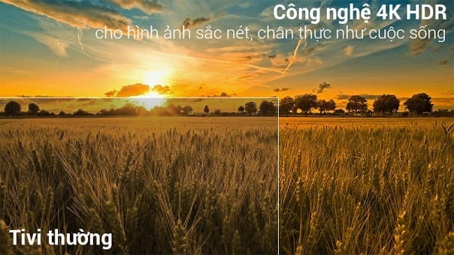 3010 tivi sony 49x9000f mn2