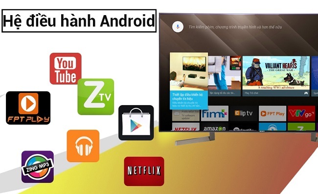 3010 tivi sony 49x9000f mn5