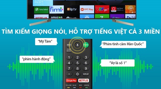 3010 tivi sony 49x9000f mn8