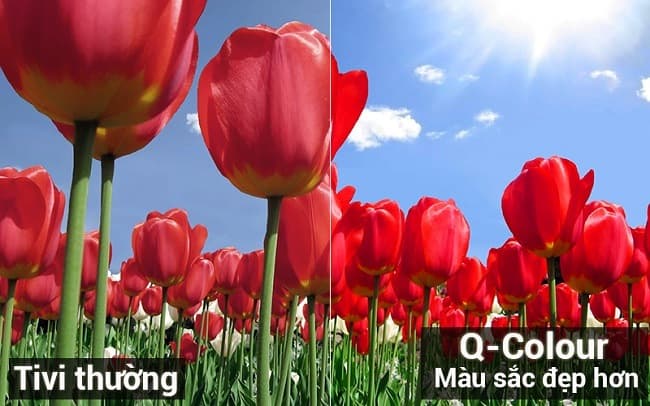 3011 65q7fna 3 2