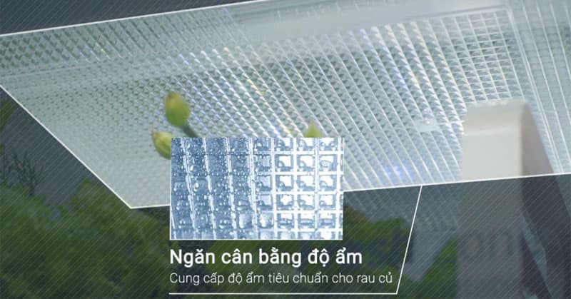3011-ngan-rau-qua-can-bang-do-am-tu-lanh-lg Ngăn rau quả cân bằng độ ẩm tủ lạnh LG