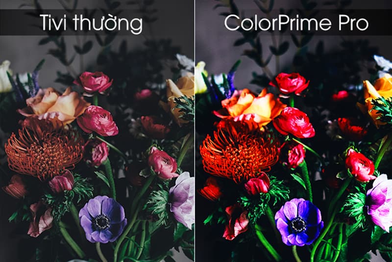 Công nghệ ColorPrime Pro giúp tăng cường độ rực rỡ của màu sắc Công nghệ ColorPrime Pro đem đến những phân cảnh có màu sắc tươi sáng, sống động và chân thực.