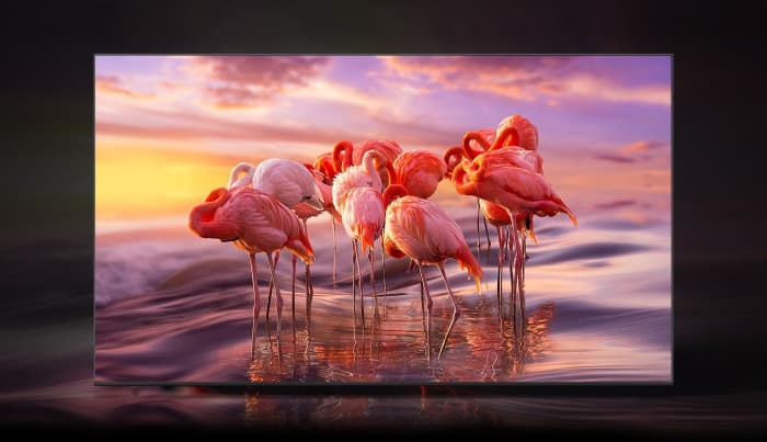 Công nghệ Quantum Dot, Quantum HDR cho trải nghiệm hình ảnh sắc nét, chân thực đến từng chi tiết
