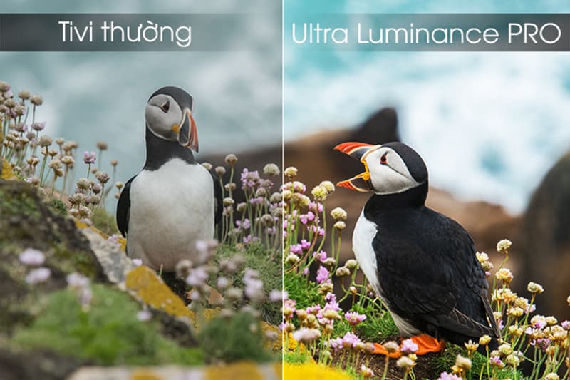 Ultra Luminance Pro điều chỉnh độ sáng và độ tương phản tốt nhất cho hình ảnh Ultra Luminance Pro điều chỉnh độ sáng và độ tương phản tốt nhất cho hình ảnh