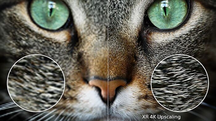 Công nghệ XR Triluminos Pro - XR Clear Image - XR Motion cho hình ảnh siêu sắc nét đến từng chi tiết nhỏ nhất