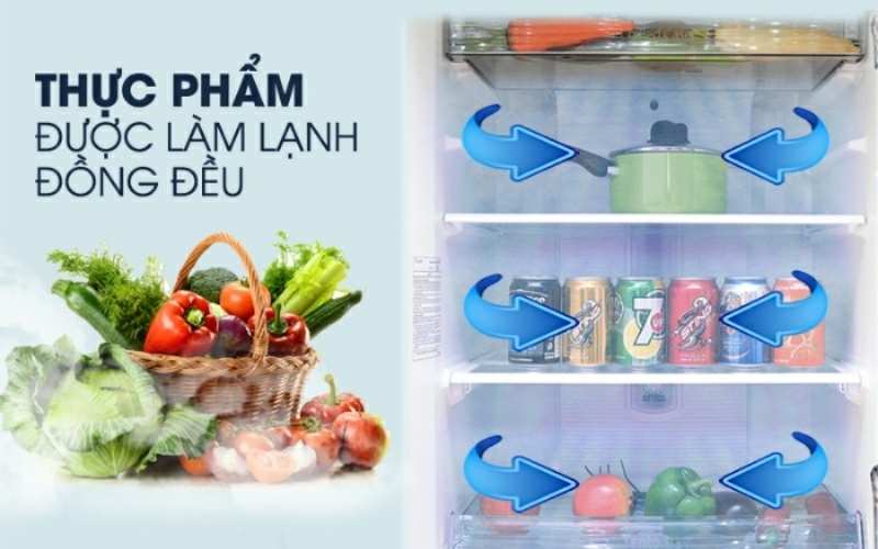 Công nghệ làm lạnh trực tiếp trên tủ lạnh mini Funiki giữ thực phẩm tươi lâu mà vẫn tiết kiệm điện