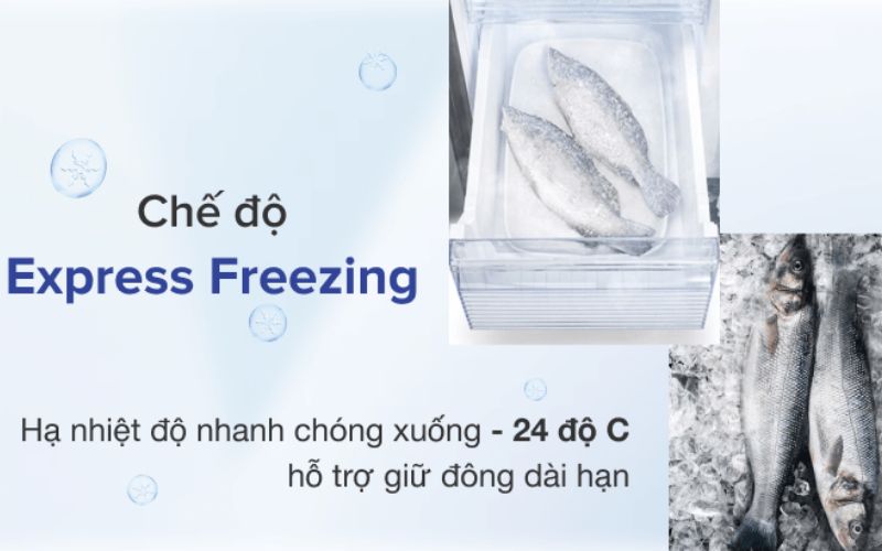 Ngăn cấp đông nhanh hạ nhiệt tức thì, giữ nguyên chất lượng và kết cấu thực phẩm tươi sống